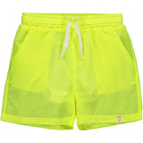 Summer Swim Shorts