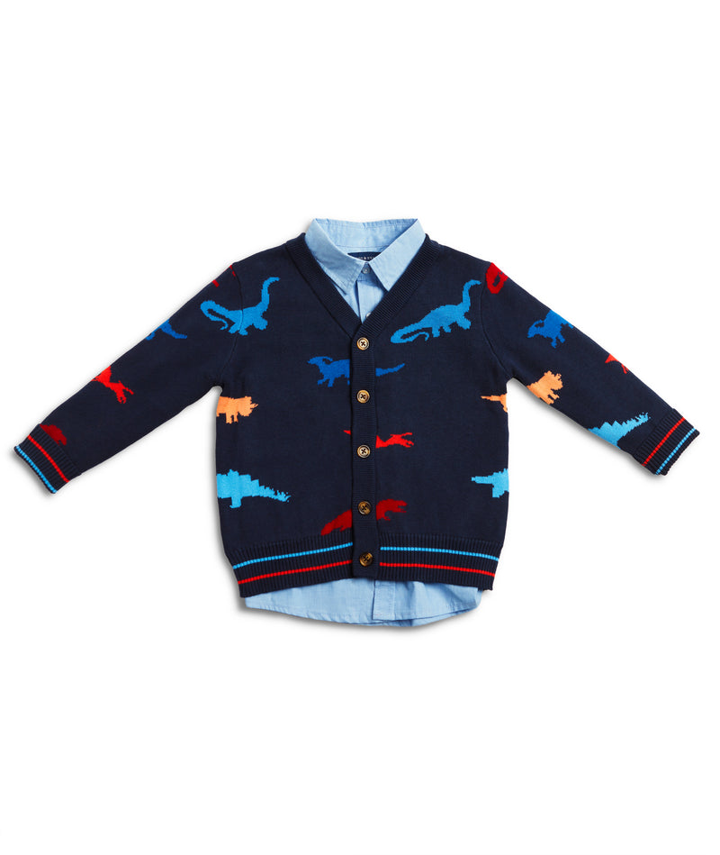2 Piece Dinosaur Cardigan Set